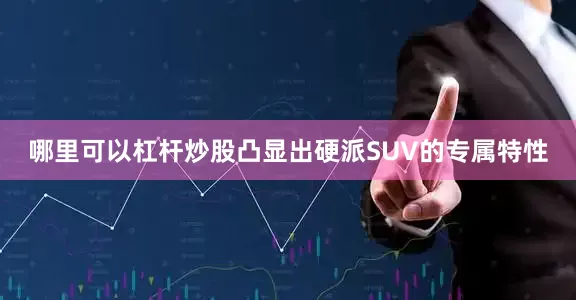 哪里可以杠杆炒股凸显出硬派SUV的专属特性