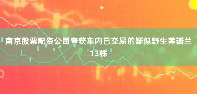 南京股票配资公司查获车内已交易的疑似野生莲瓣兰13株