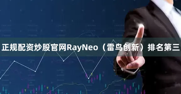 正规配资炒股官网RayNeo（雷鸟创新）排名第三